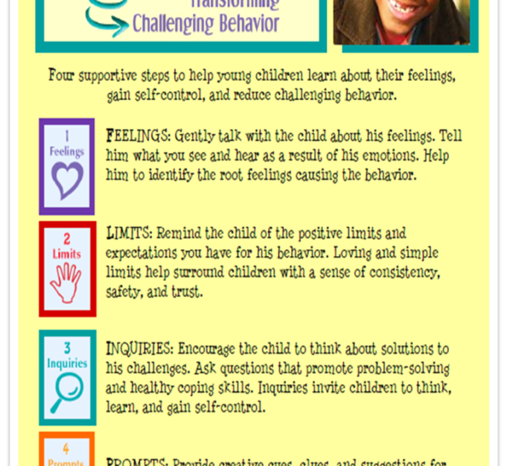 CCRC – Flip IT: An Intervention Strategy Addressing Challenging Behavior